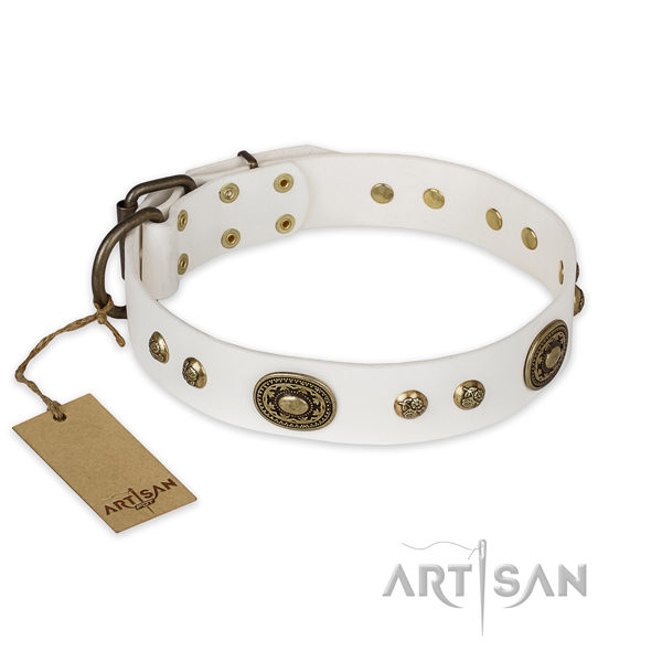 Impressive full grain leather dog collar for basic training