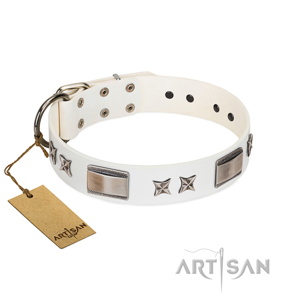 Fine quality dog collar of full grain genuine leather