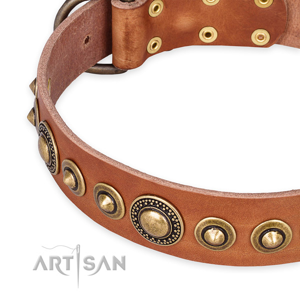 Top notch full grain leather dog collar crafted for your impressive pet