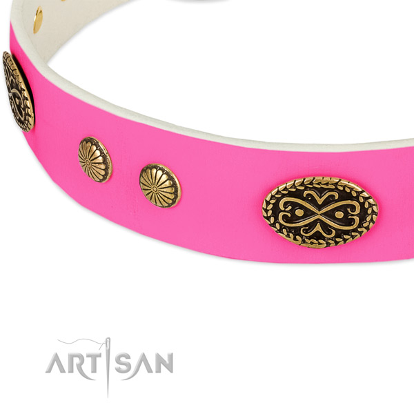 Strong buckle on natural leather dog collar for your dog