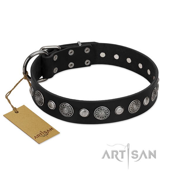 Fine quality full grain leather dog collar with extraordinary decorations