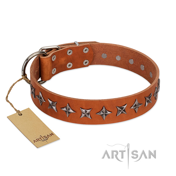 Walking dog collar of durable genuine leather with decorations