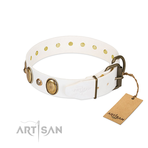 Comfy wearing leather dog collar