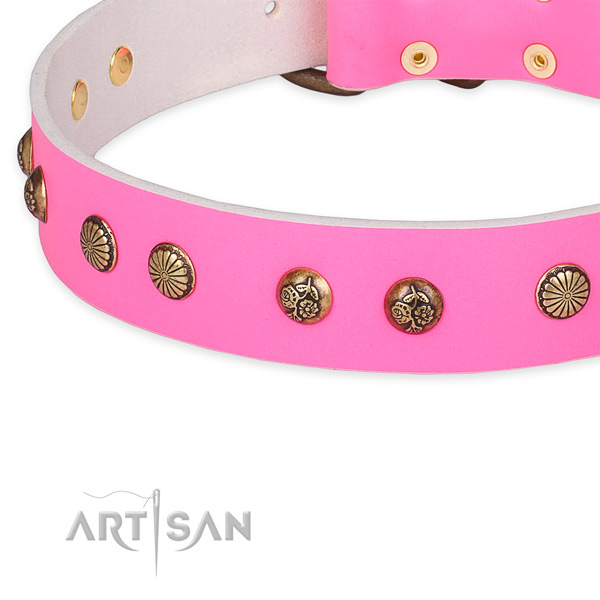 Genuine leather collar with rust resistant traditional buckle for your attractive canine