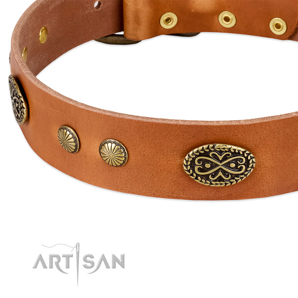 Rust resistant decorations on leather dog collar for your canine