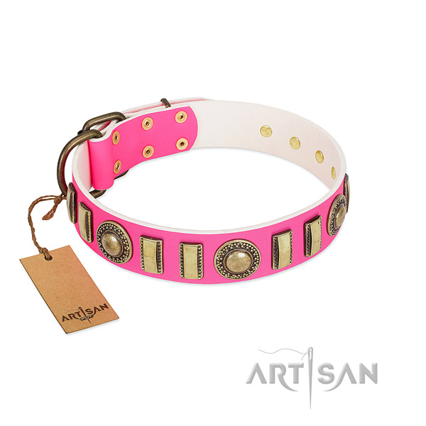 Awesome genuine leather dog collar with corrosion proof fittings