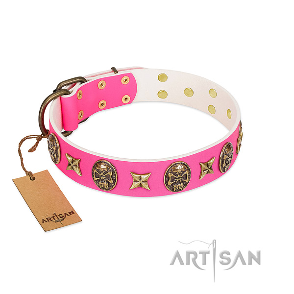 Full grain genuine leather dog collar with rust resistant studs