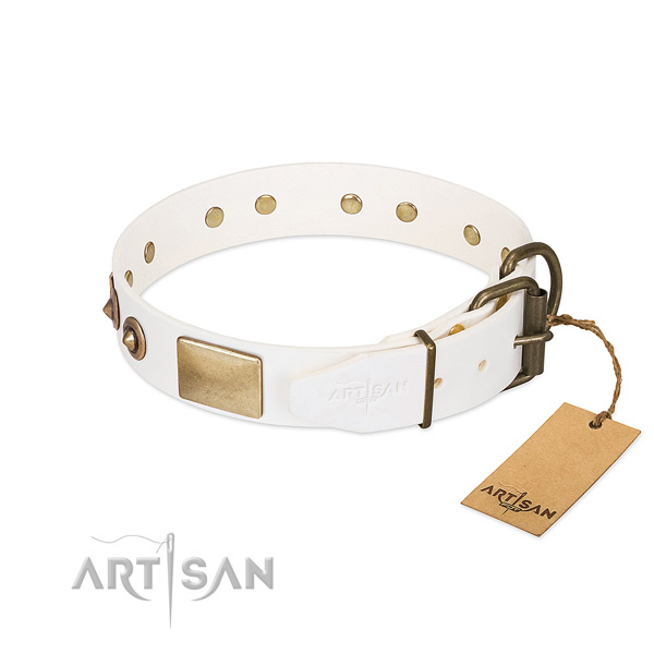 Rust-proof studs on leather dog collar for your canine