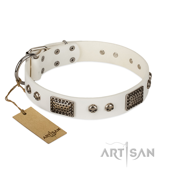 Easy adjustable leather dog collar for walking your pet