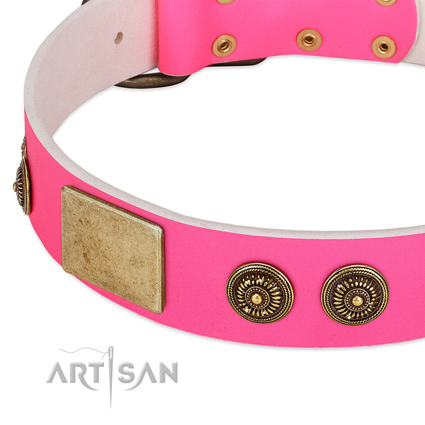 Embellished dog collar created for your lovely dog
