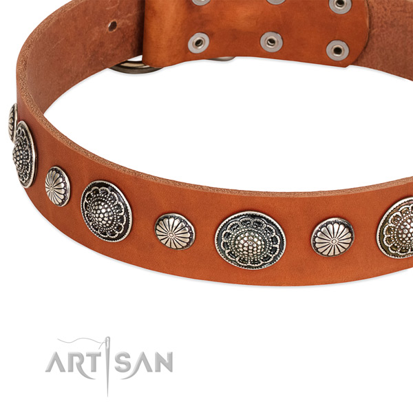 Full grain leather collar with corrosion resistant traditional buckle for your handsome four-legged friend