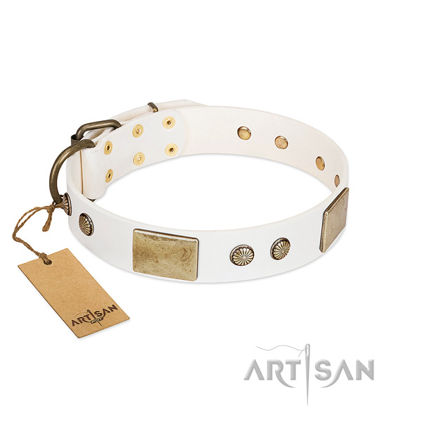 Easy adjustable genuine leather dog collar for stylish walking your pet