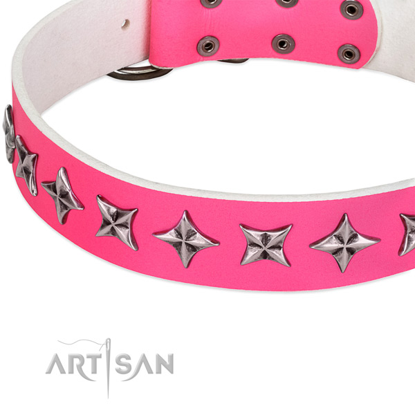Stylish walking studded dog collar of strong full grain natural leather