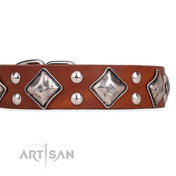 Full grain leather dog collar with top notch strong adornments