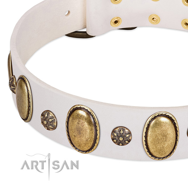 Everyday use top notch natural genuine leather dog collar with adornments
