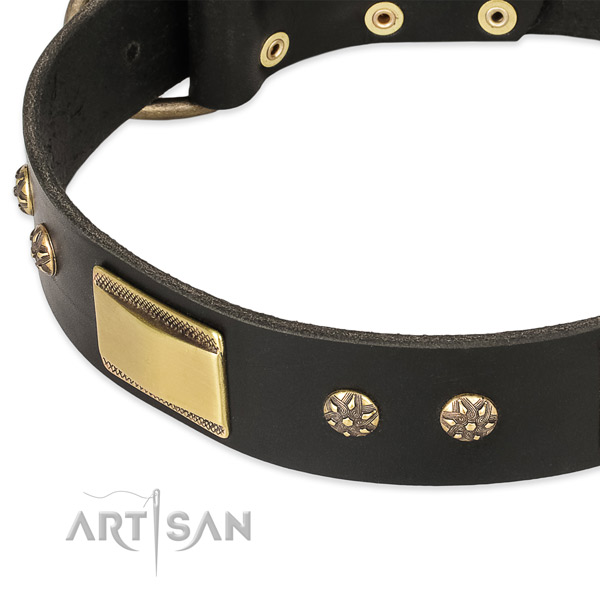 Durable studs on full grain natural leather dog collar for your canine