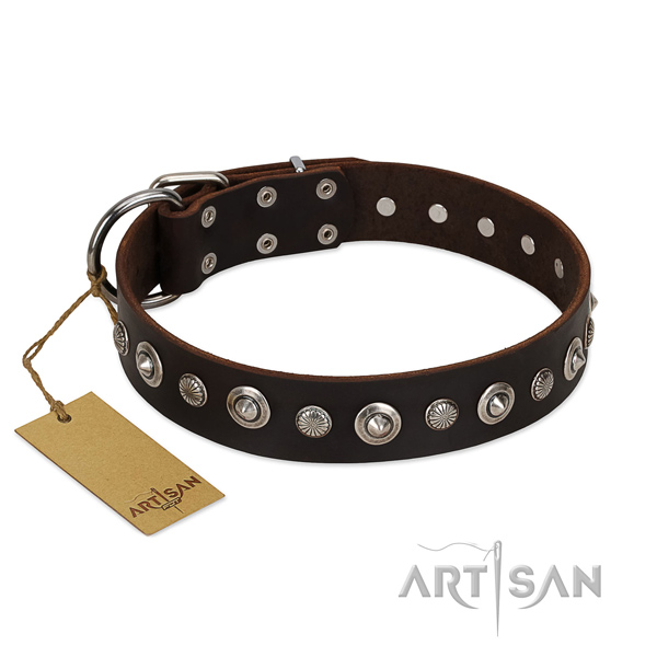 Durable leather dog collar with extraordinary embellishments