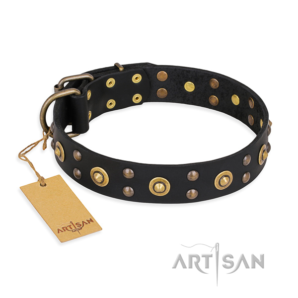 Stylish walking adorned dog collar with rust resistant hardware