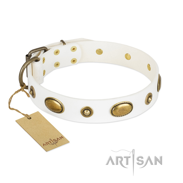 Best quality leather collar for your four-legged friend