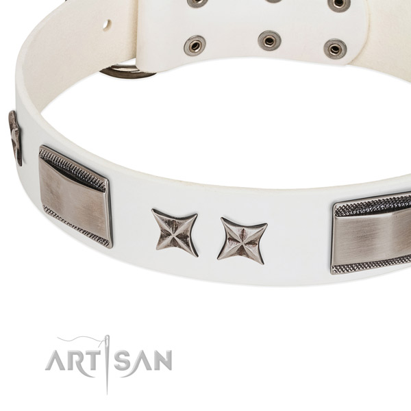 Quality natural leather dog collar with rust-proof hardware