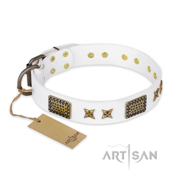 Studded full grain leather dog collar with durable buckle