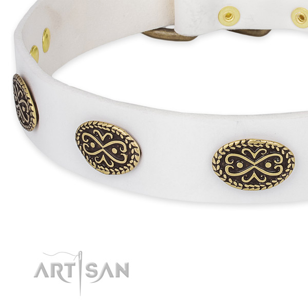 Trendy genuine leather collar for your impressive dog