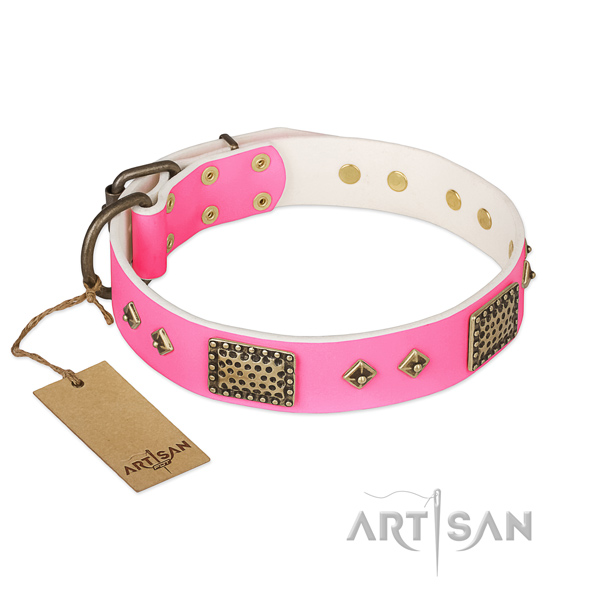 Easy to adjust leather dog collar for everyday walking your four-legged friend