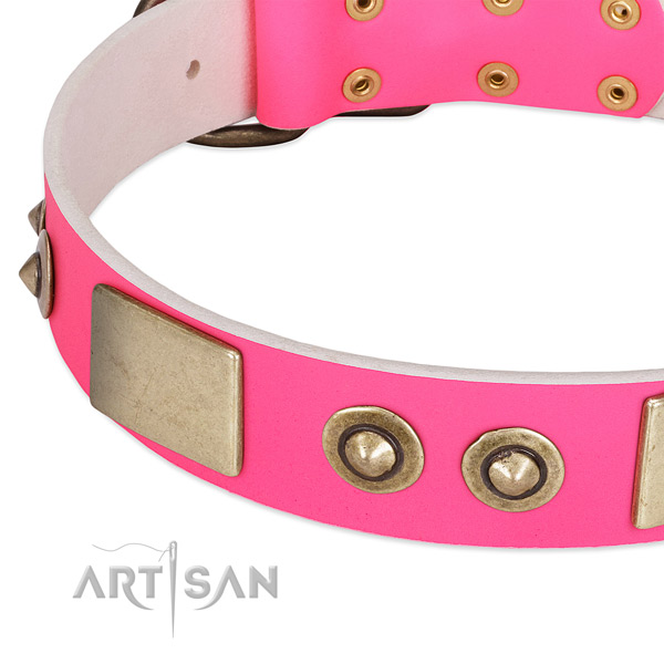 Strong studs on full grain leather dog collar for your dog