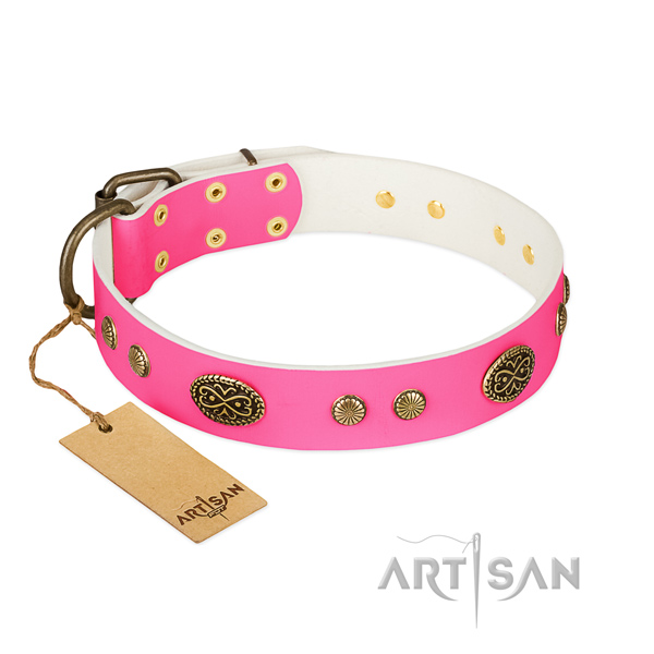 Rust resistant traditional buckle on natural leather dog collar for your dog
