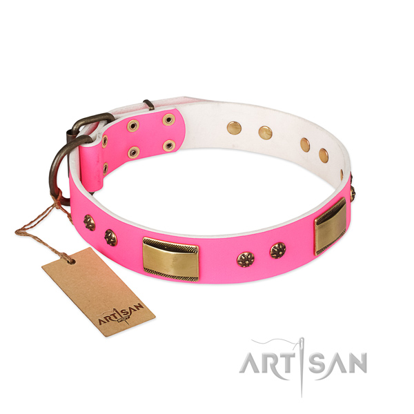 Incredible leather collar for your four-legged friend