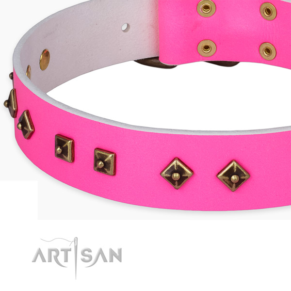 Fine quality leather collar for your handsome pet