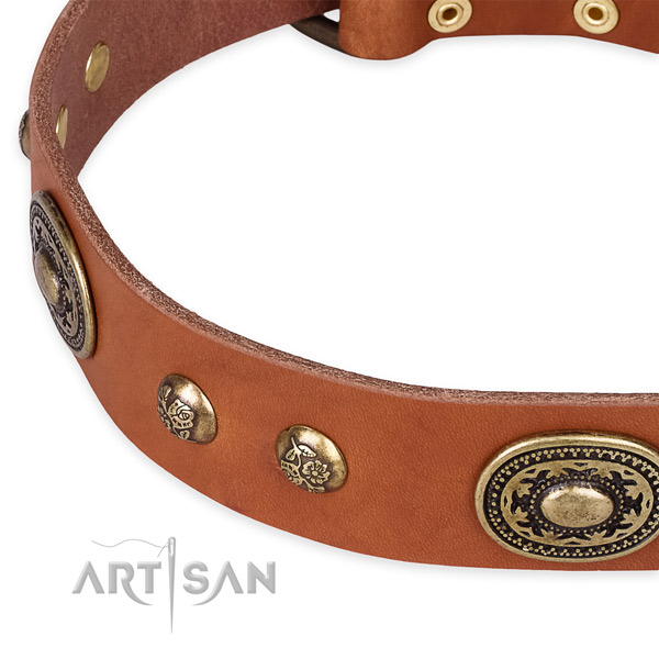 Exquisite natural leather collar for your stylish doggie