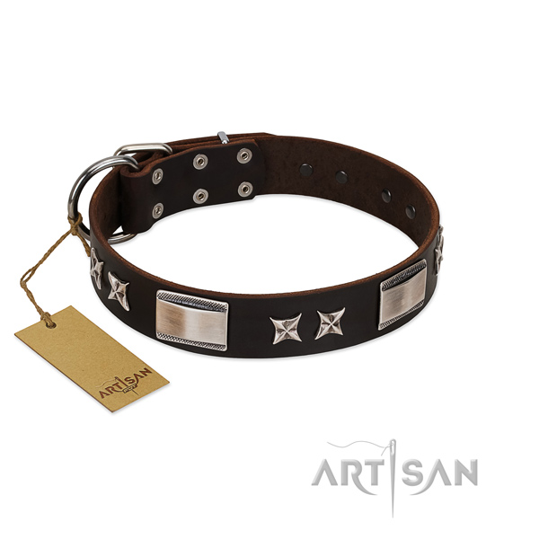 Handmade dog collar of natural leather