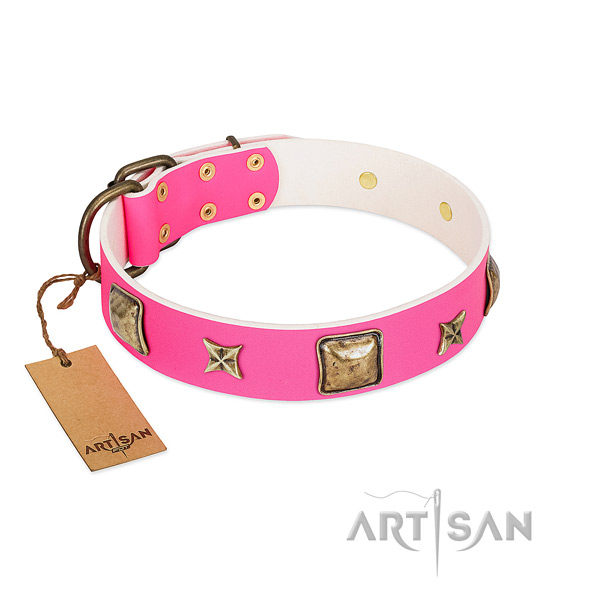 Full grain natural leather dog collar of soft material with designer adornments