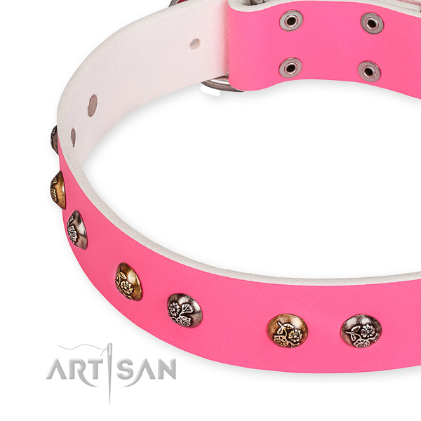 Full grain leather dog collar with significant rust resistant embellishments