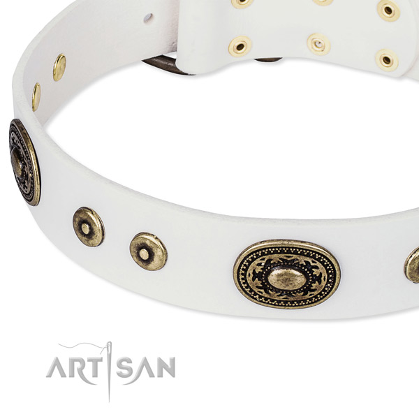 Full grain genuine leather dog collar made of flexible material with studs