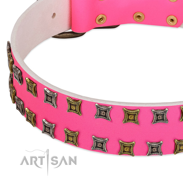 Genuine leather dog collar with awesome studs