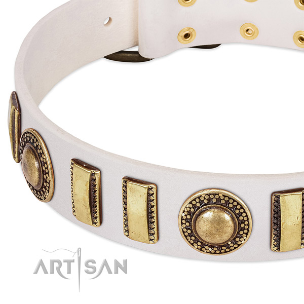 Top rate natural leather dog collar for your impressive canine