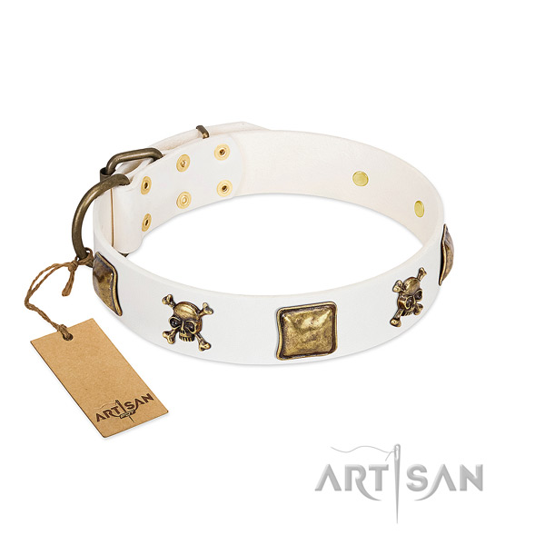 Daily use top rate full grain leather dog collar with adornments