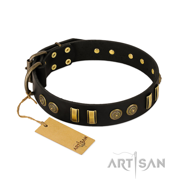 Corrosion resistant D-ring on leather dog collar for your four-legged friend
