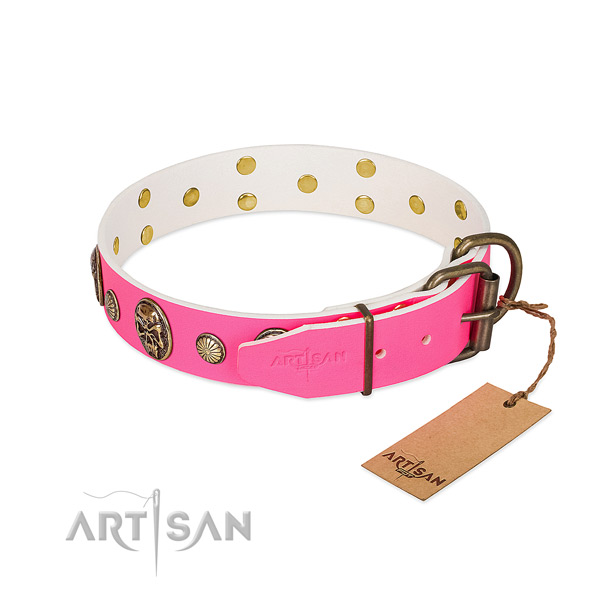 Strong adornments on natural genuine leather dog collar for your dog