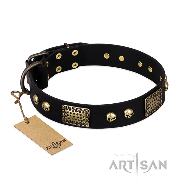 Adjustable full grain leather dog collar for stylish walking your four-legged friend