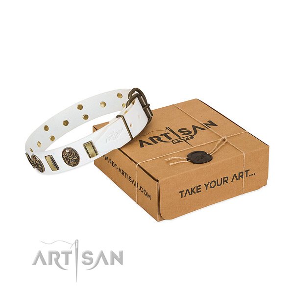 Rust-proof hardware on full grain natural leather dog collar for daily use