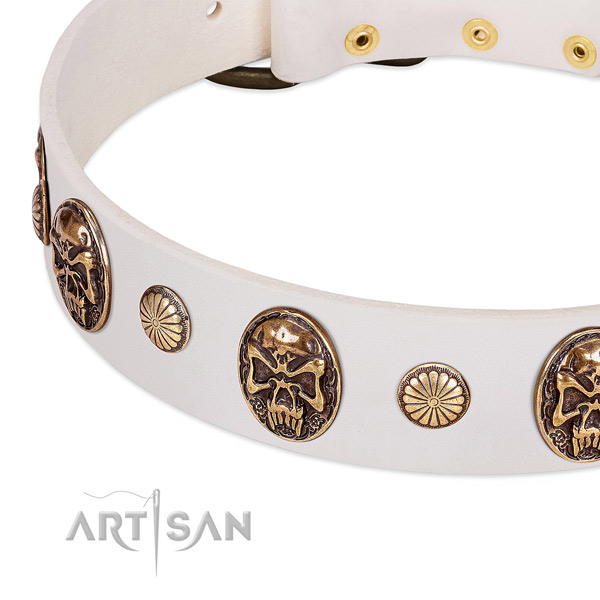Corrosion resistant traditional buckle on full grain genuine leather dog collar for your four-legged friend