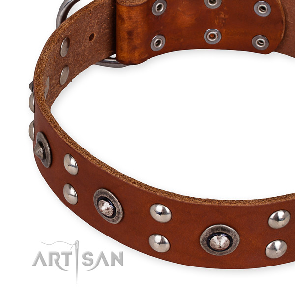 Genuine leather collar with rust resistant D-ring for your handsome pet