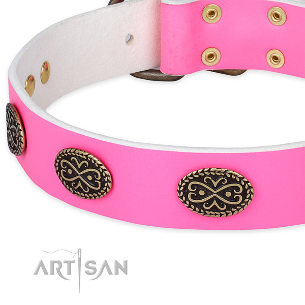 Full grain natural leather dog collar with adornments for daily use
