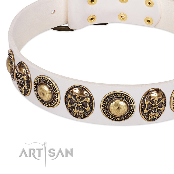 Corrosion resistant embellishments on full grain natural leather dog collar for your canine