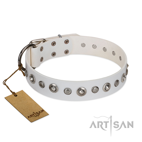 Quality leather dog collar with stylish studs