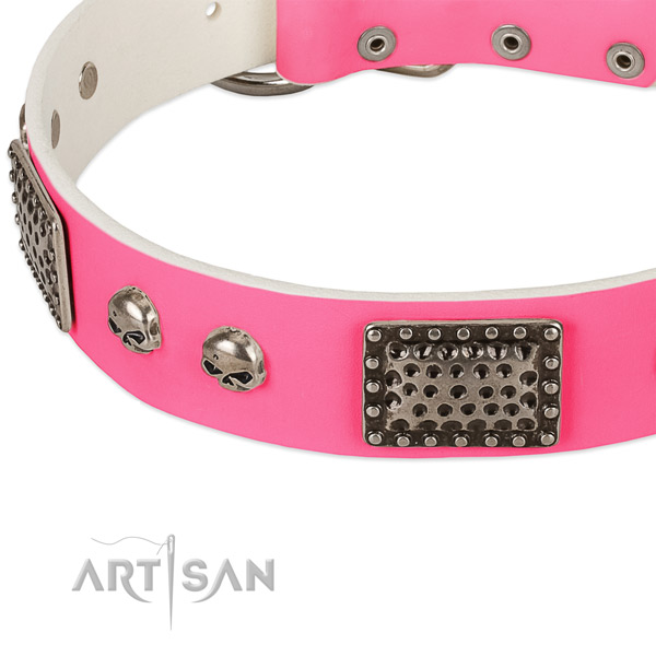 Reliable traditional buckle on leather dog collar for your canine