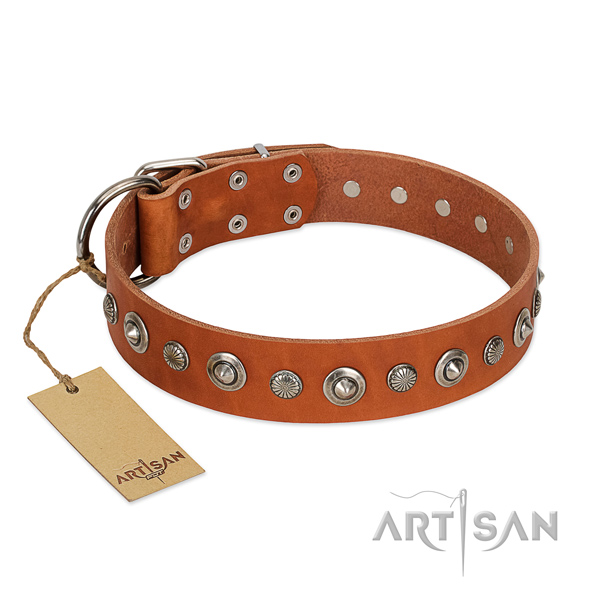 High quality full grain natural leather dog collar with significant embellishments